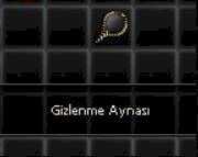 Gizlenme Aynası
